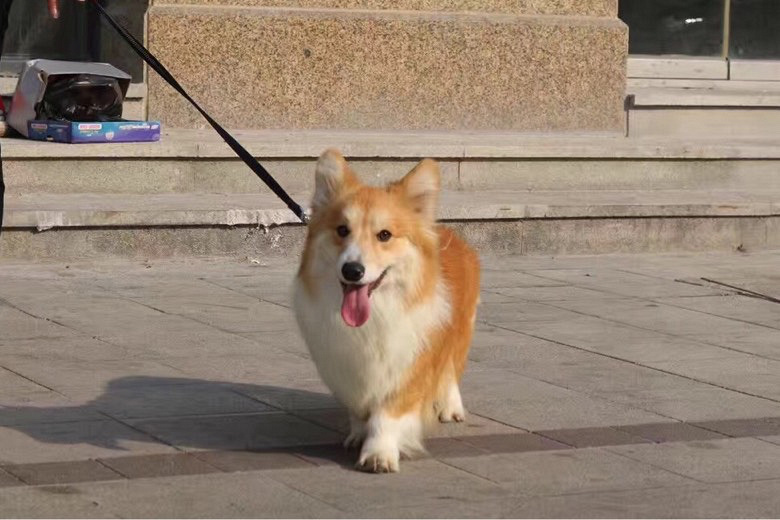 �»�¶������˳������