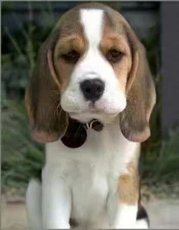 ��ת���ɶ������ѣ���û����Ҫ����ʵ��ȸ�