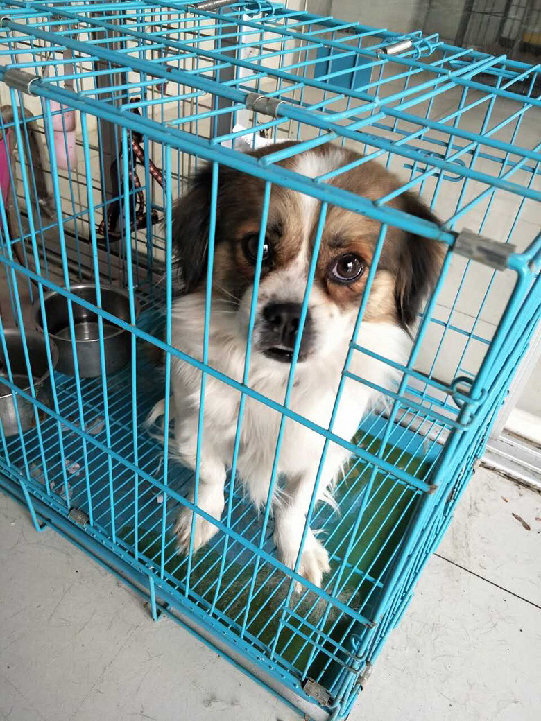 �������湺�������������ַ����ַ�ٺ�ΰ