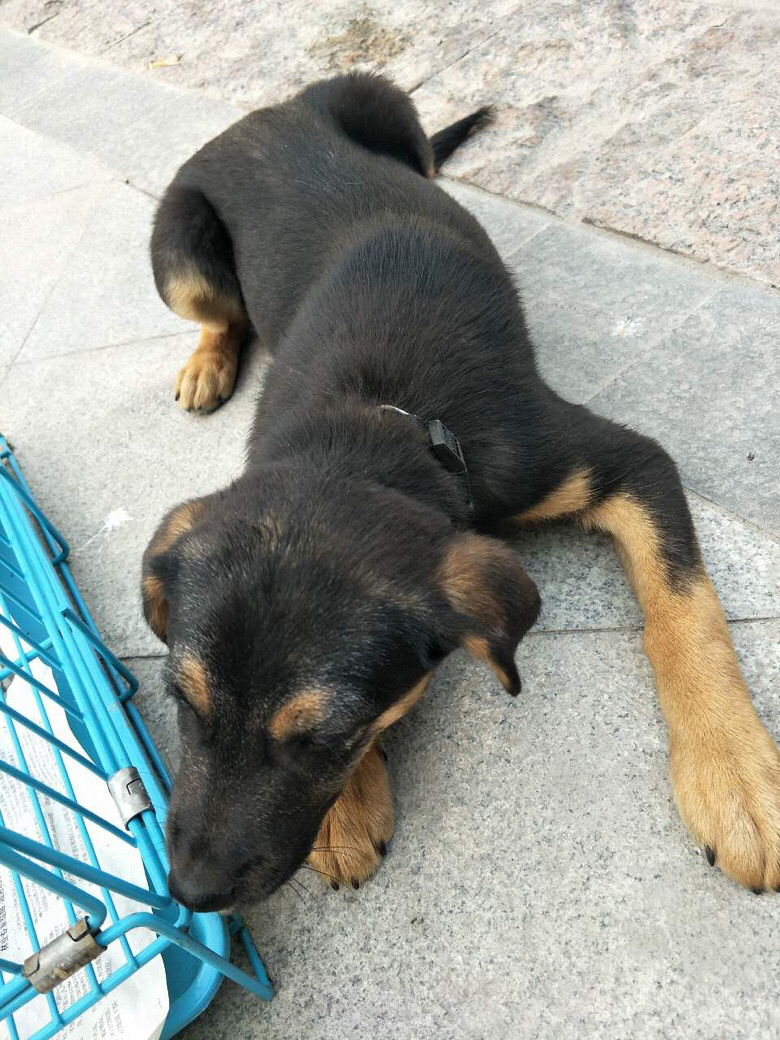 �������湺�������������ַ����ַ�ٺ�ΰ