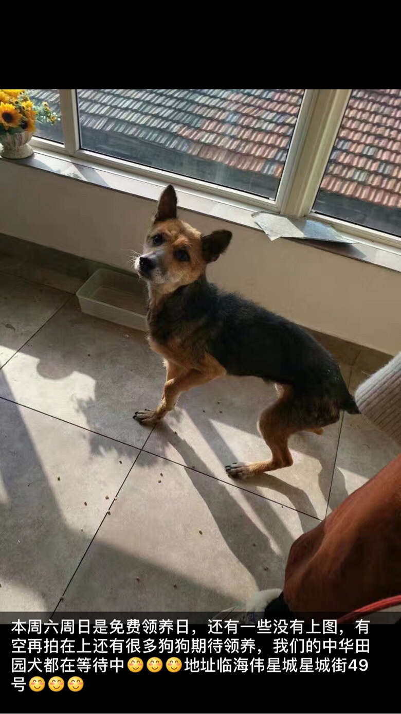 �������湺�������������ַ����ַ�ٺ�ΰ