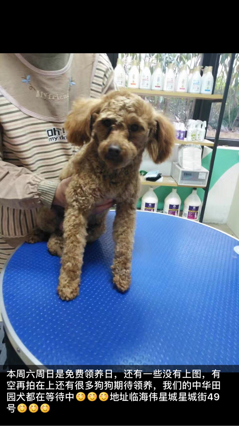 �������湺�������������ַ����ַ�ٺ�ΰ