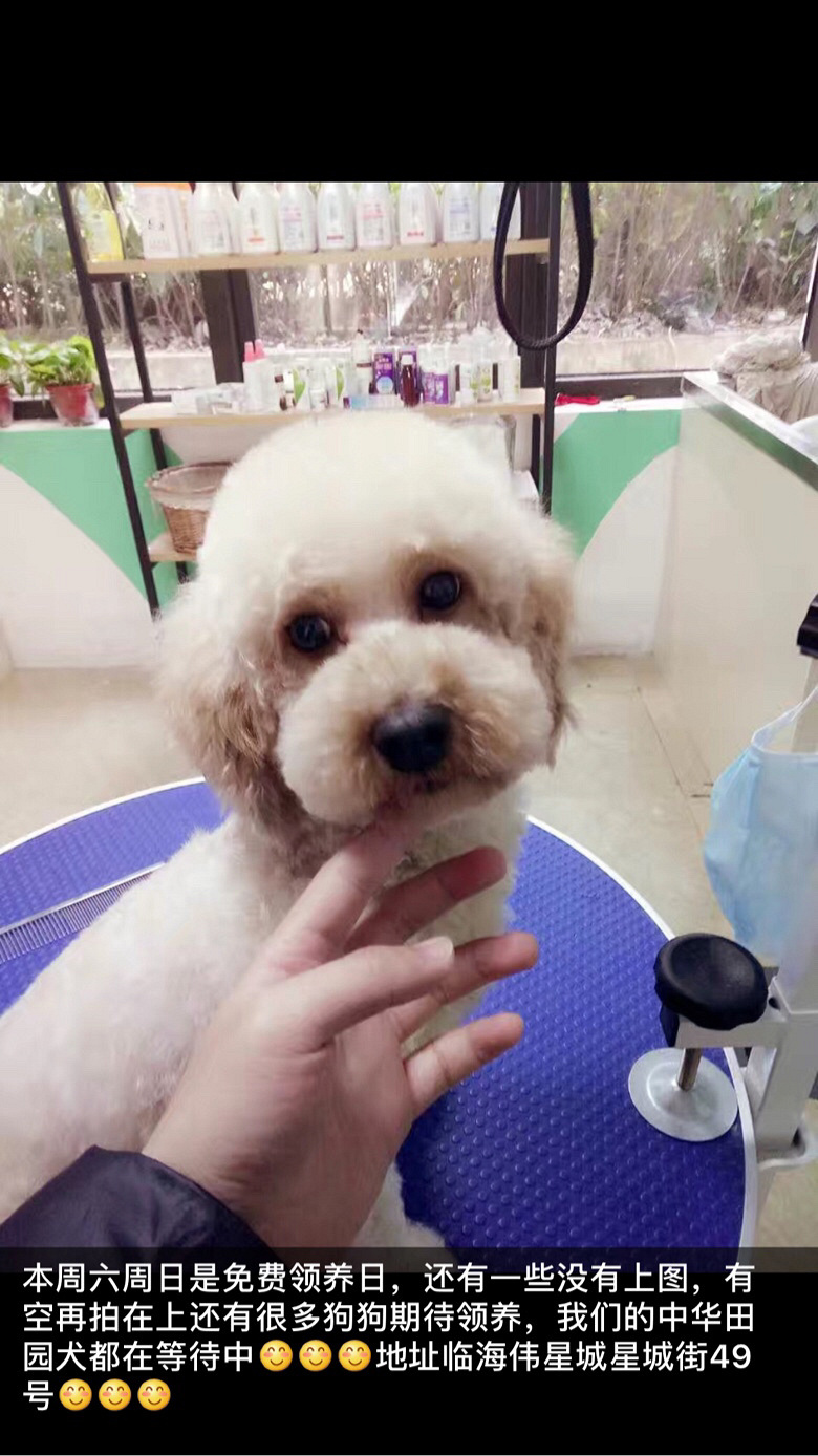 �������湺�������������ַ����ַ�ٺ�ΰ