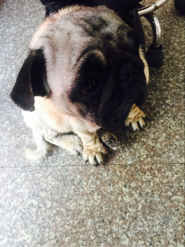 ����˸��������