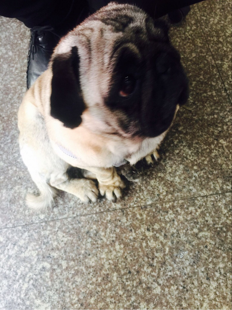 ����˸��������