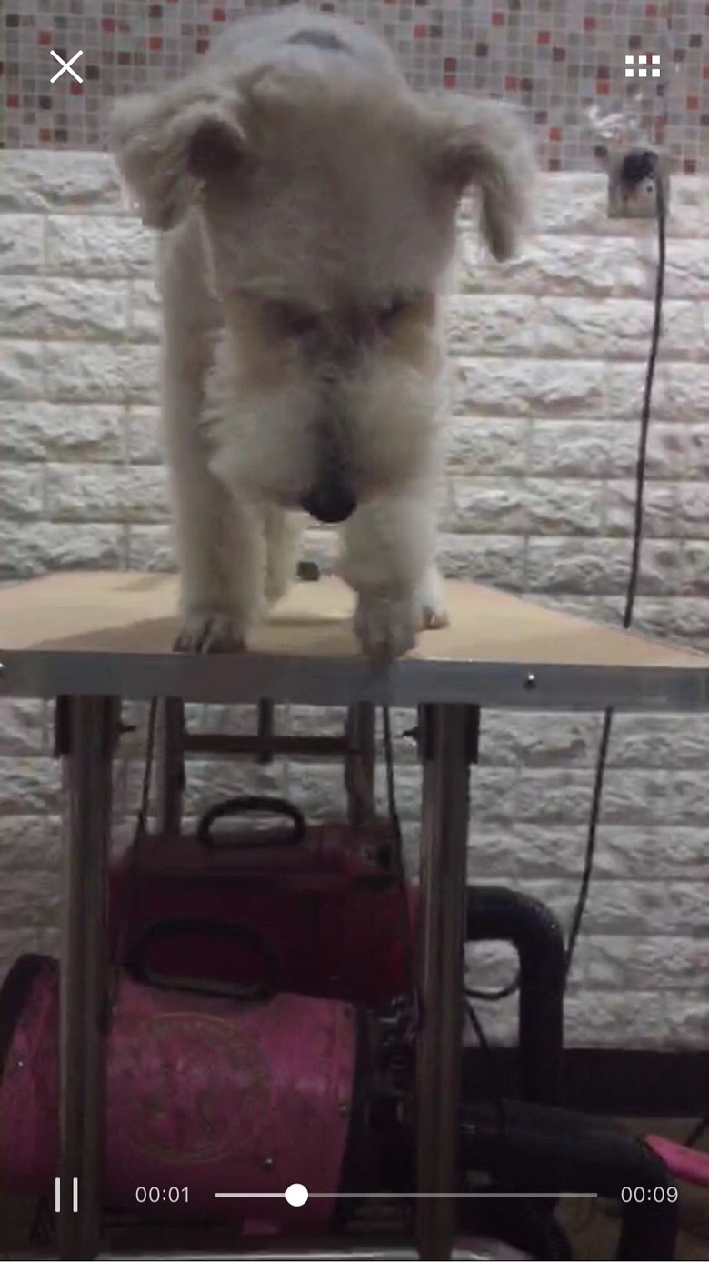 �ٺ������Ѱ��æ��