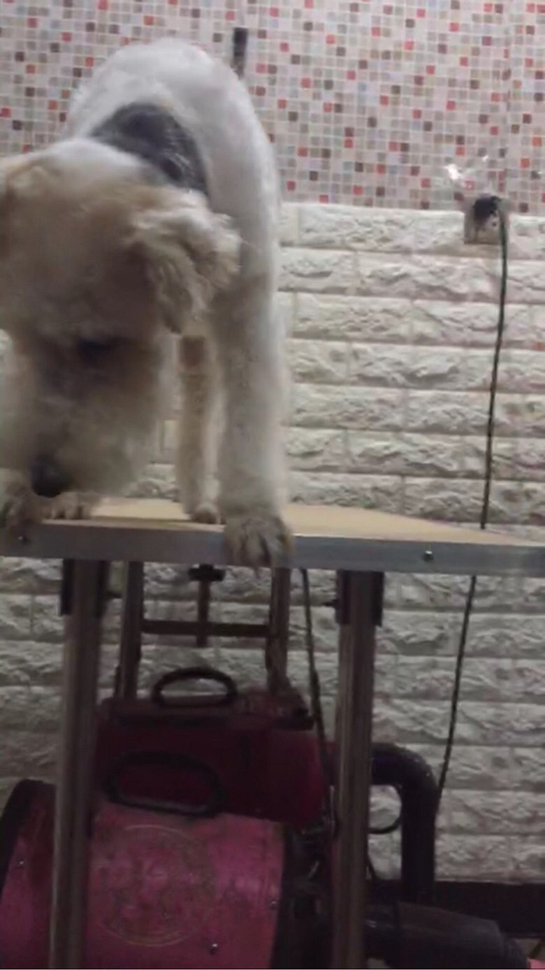 �ٺ������Ѱ��æ��