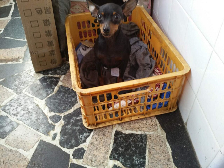 ����С¹Ȯ�Ŀ�������