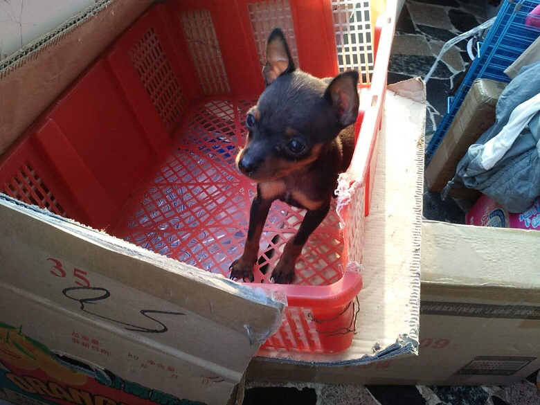 ����С¹Ȯ�Ŀ�������