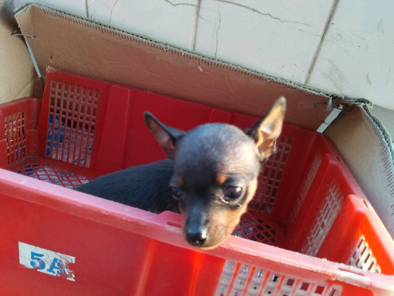 ����С¹Ȯ�Ŀ�������