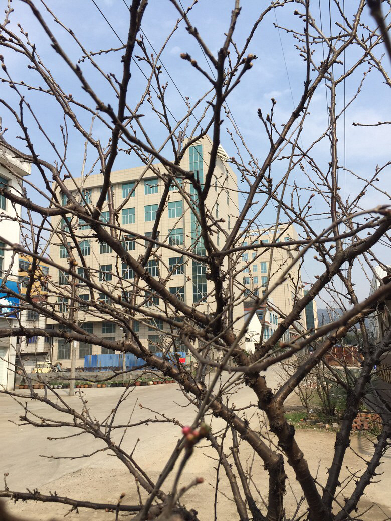 ����������.....���Լ��ֵ�ӣ��