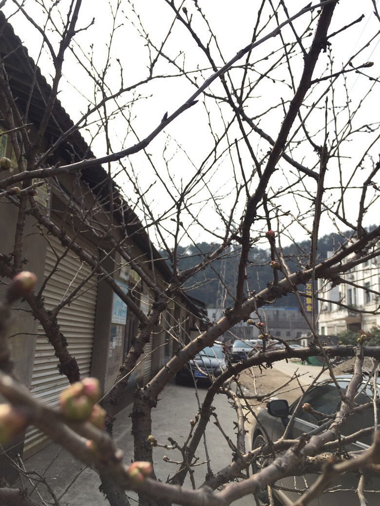 ����������.....���Լ��ֵ�ӣ��