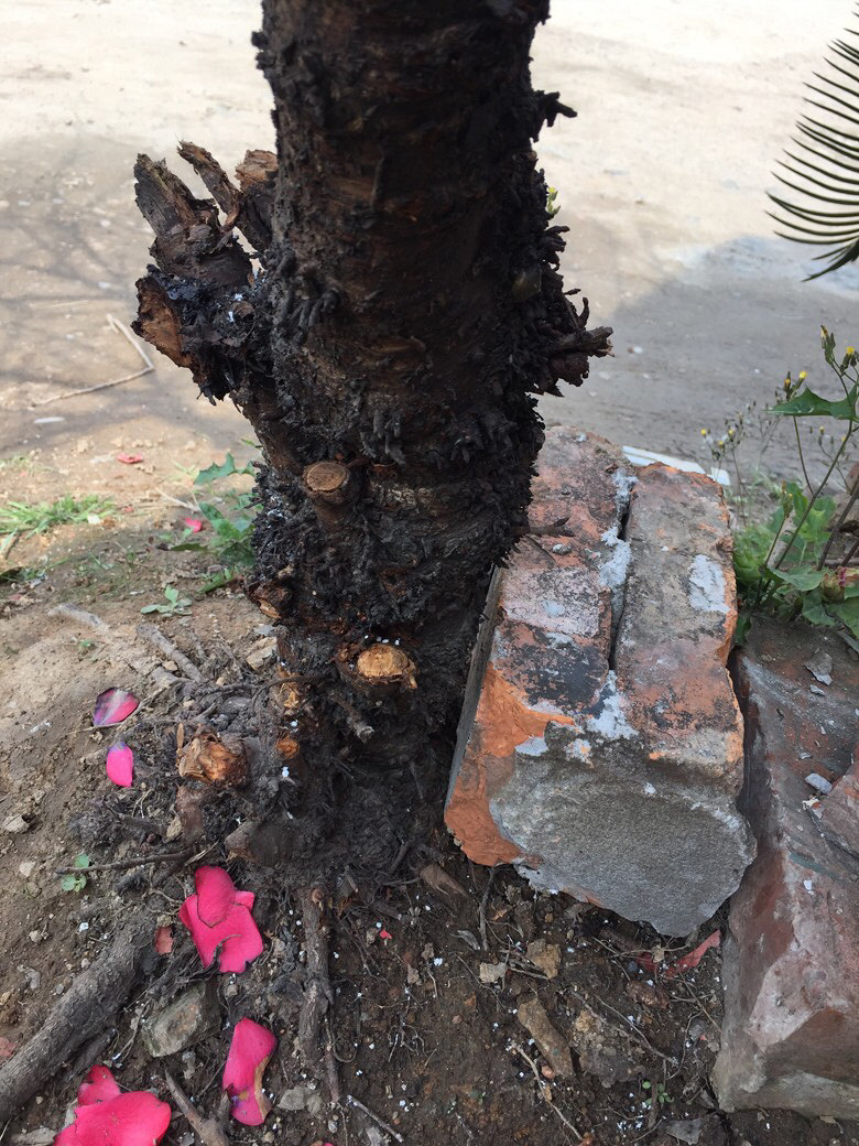 ����������.....���Լ��ֵ�ӣ��