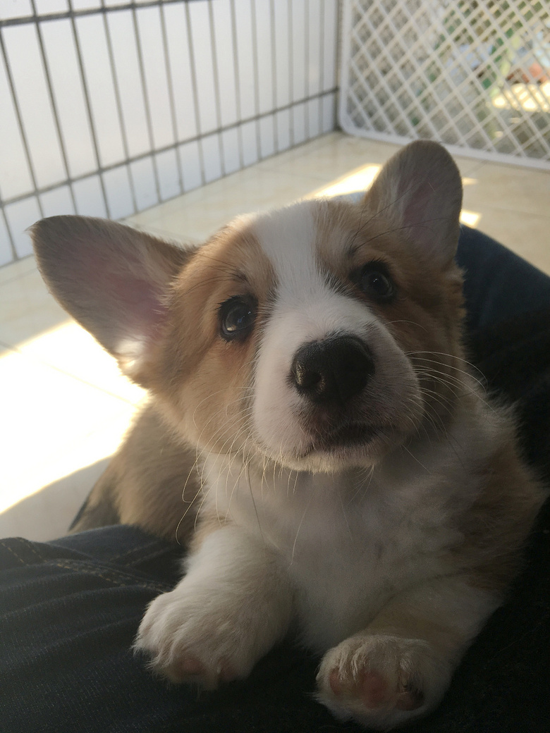 �����Գ������»���Ȯ