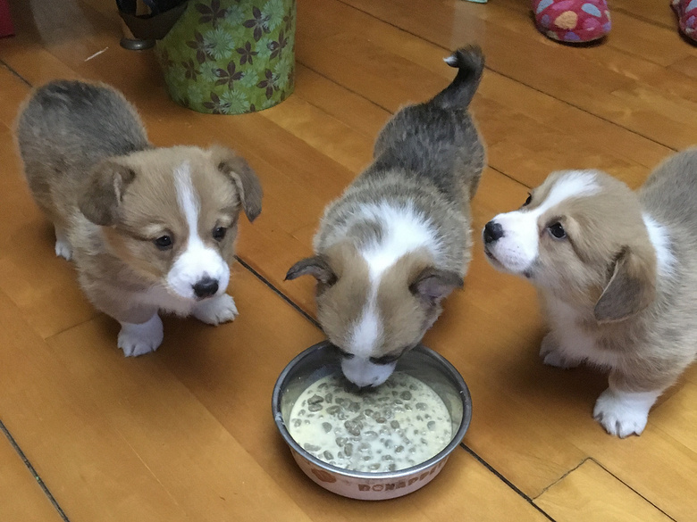 �����Գ������»���Ȯ