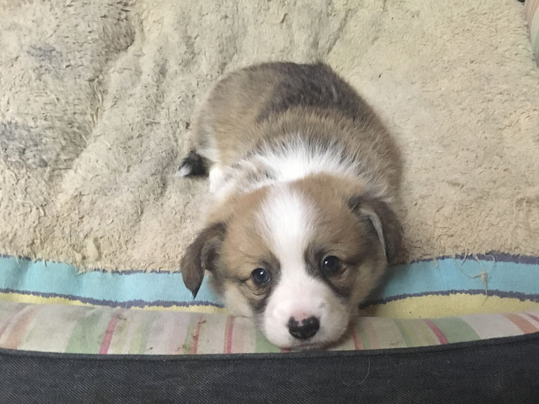 �����Գ������»���Ȯ