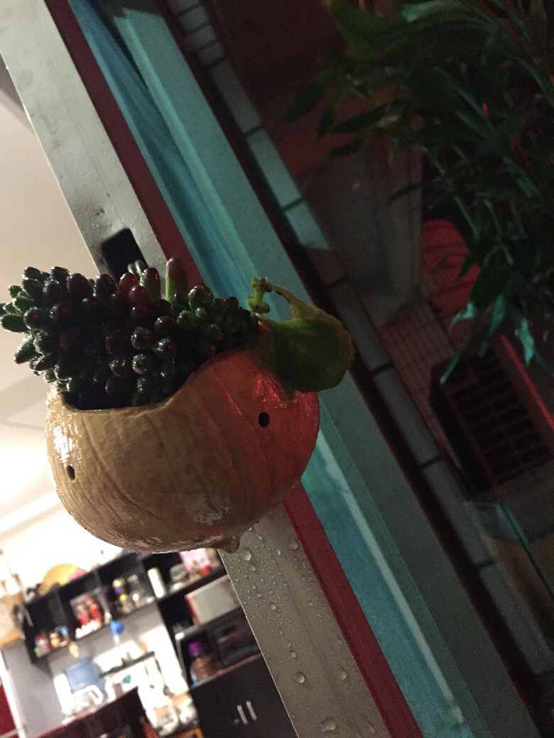 Ҭ�ӻ���ӹ���ϣ������ö�����ɫ