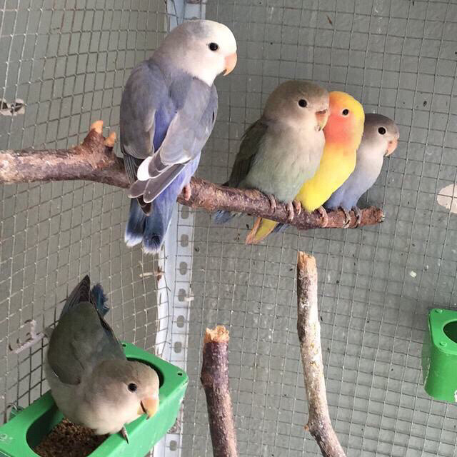 ������ĵ������