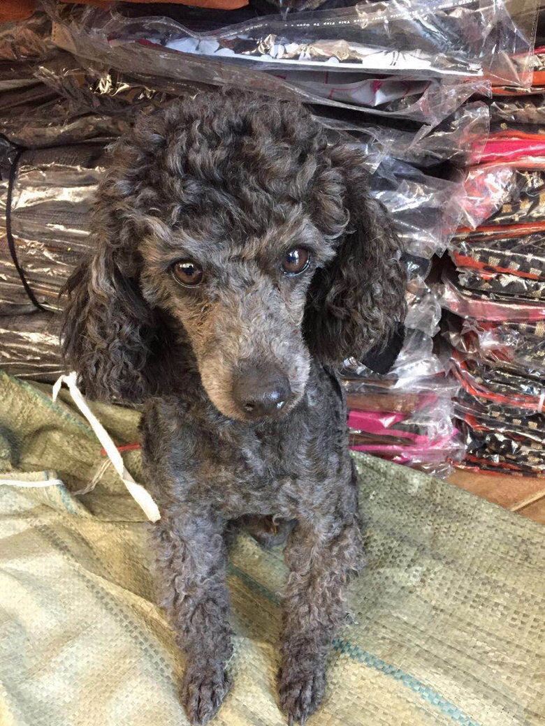 ˭�ҹ�����