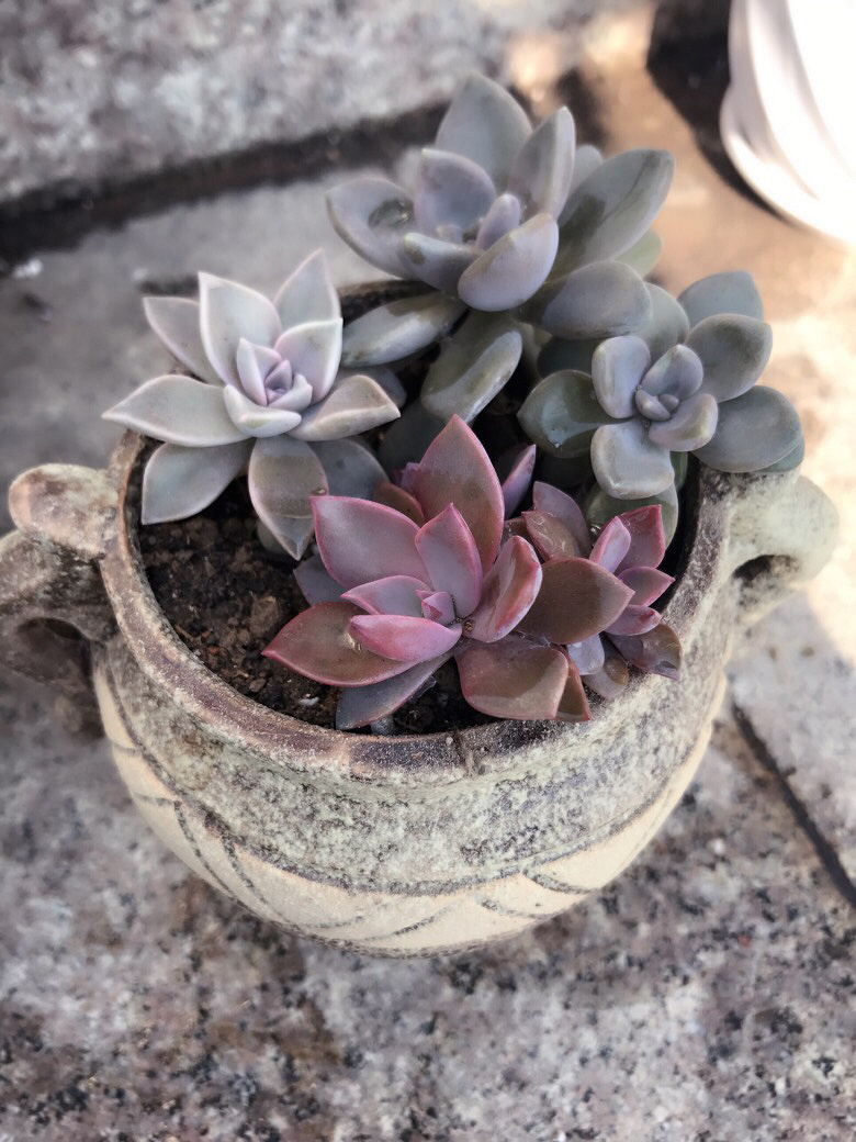 �Ҽ�����