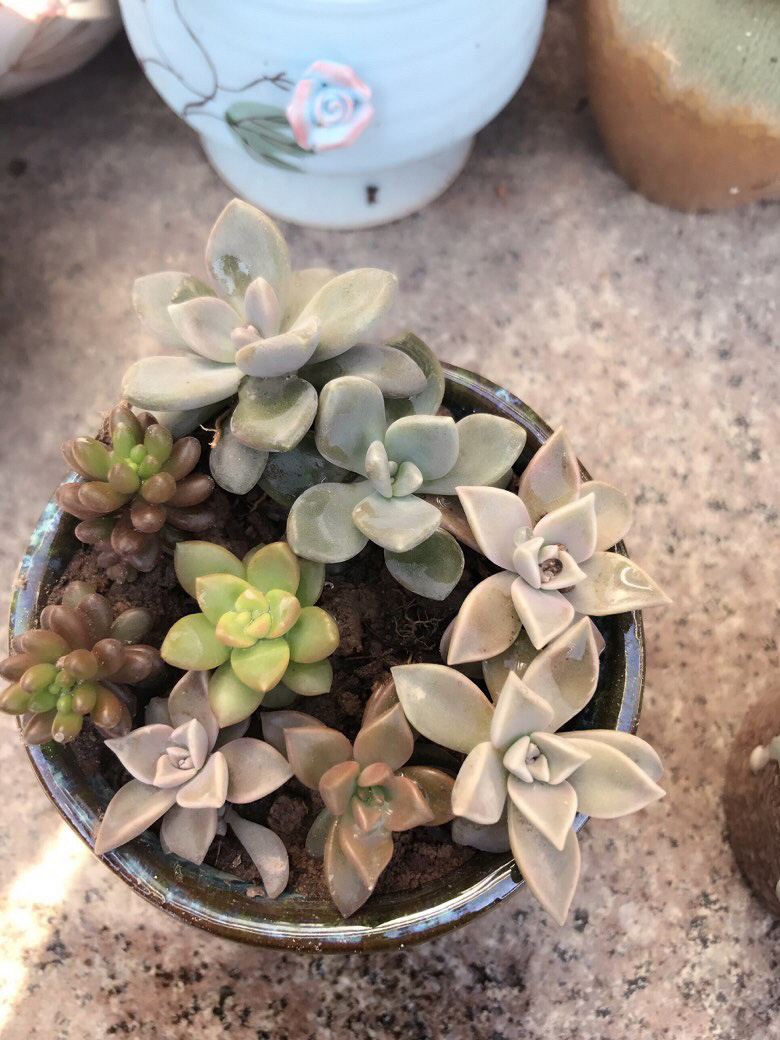 �Ҽ�����