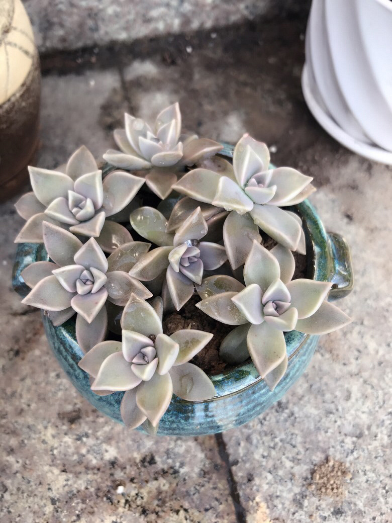 �Ҽ�����