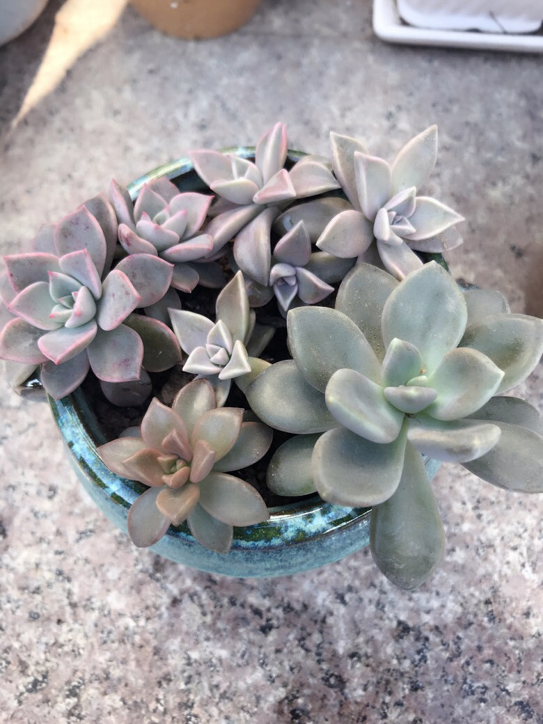 �Ҽ�����