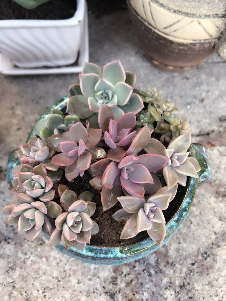 �Ҽ�����