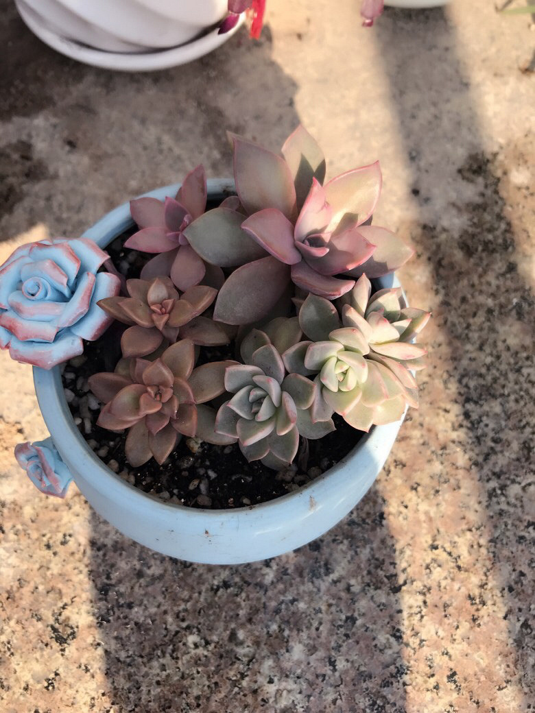 �Ҽ�����