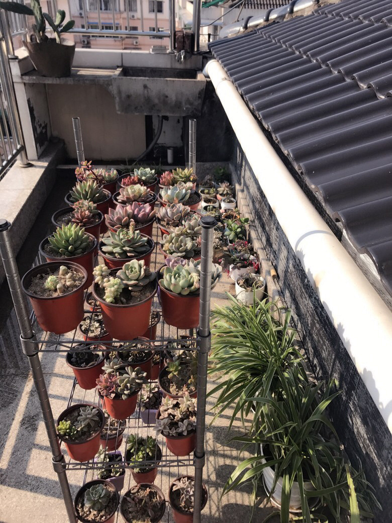 �Ҽ�����