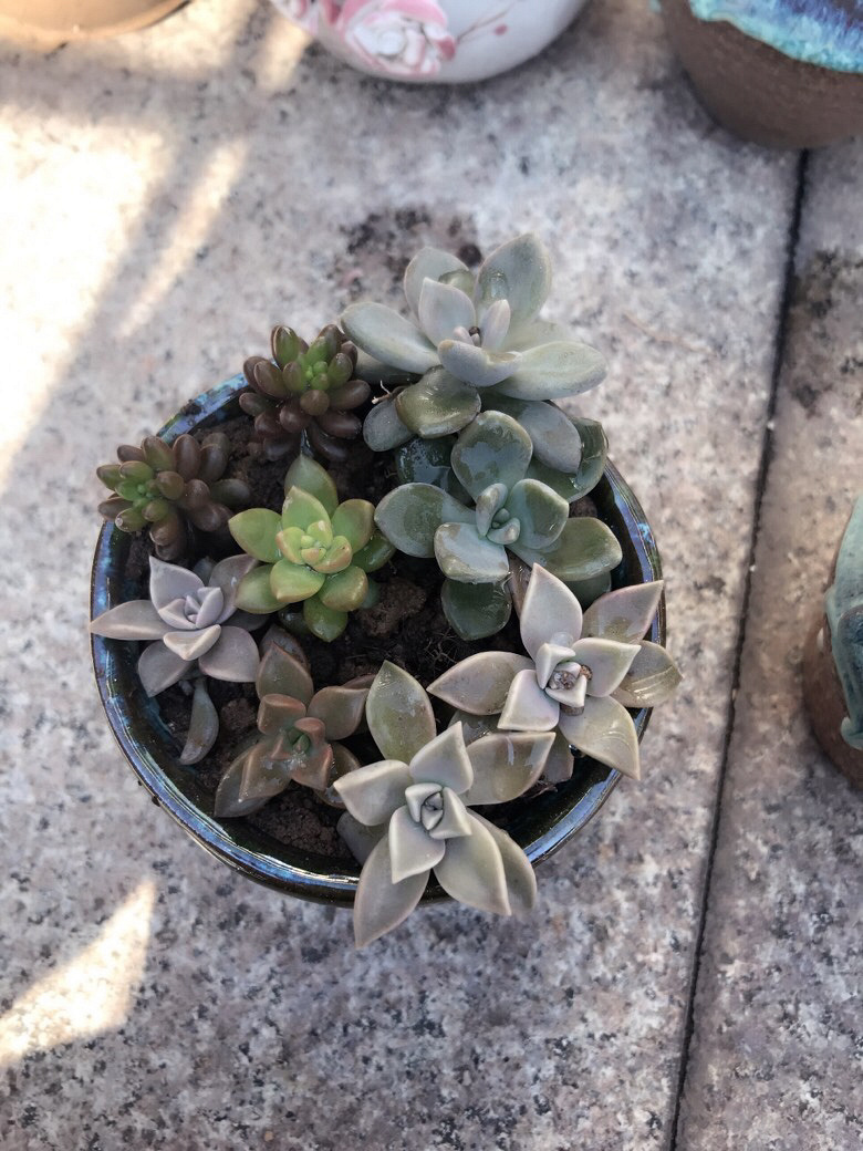 �Ҽ�����