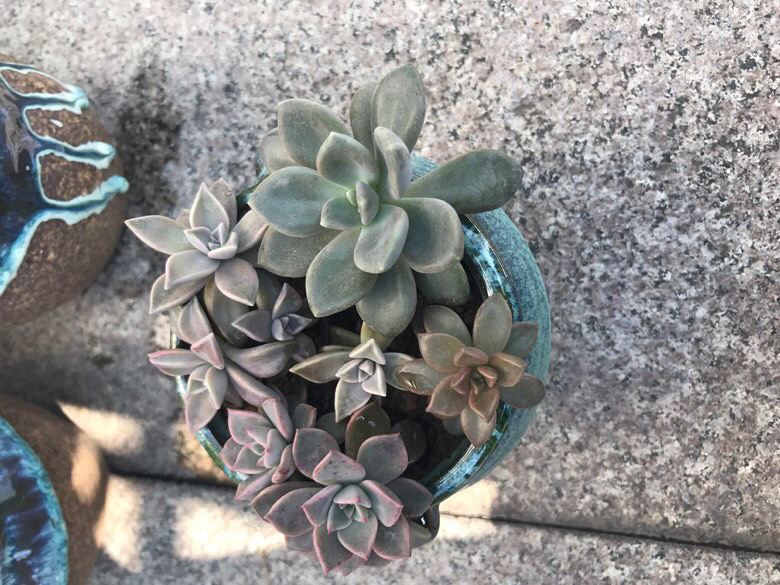 �Ҽ�����