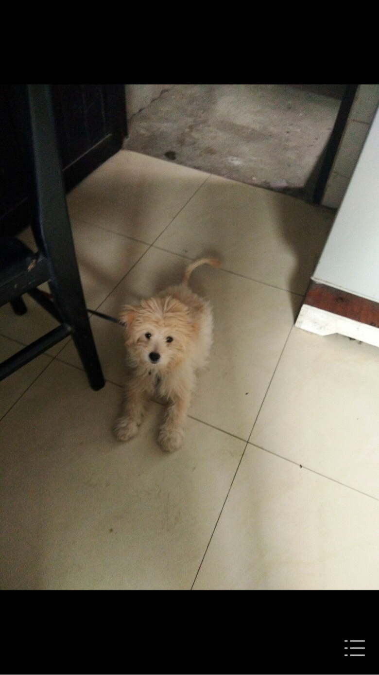 �ҹ����������˽���Ѱ����...