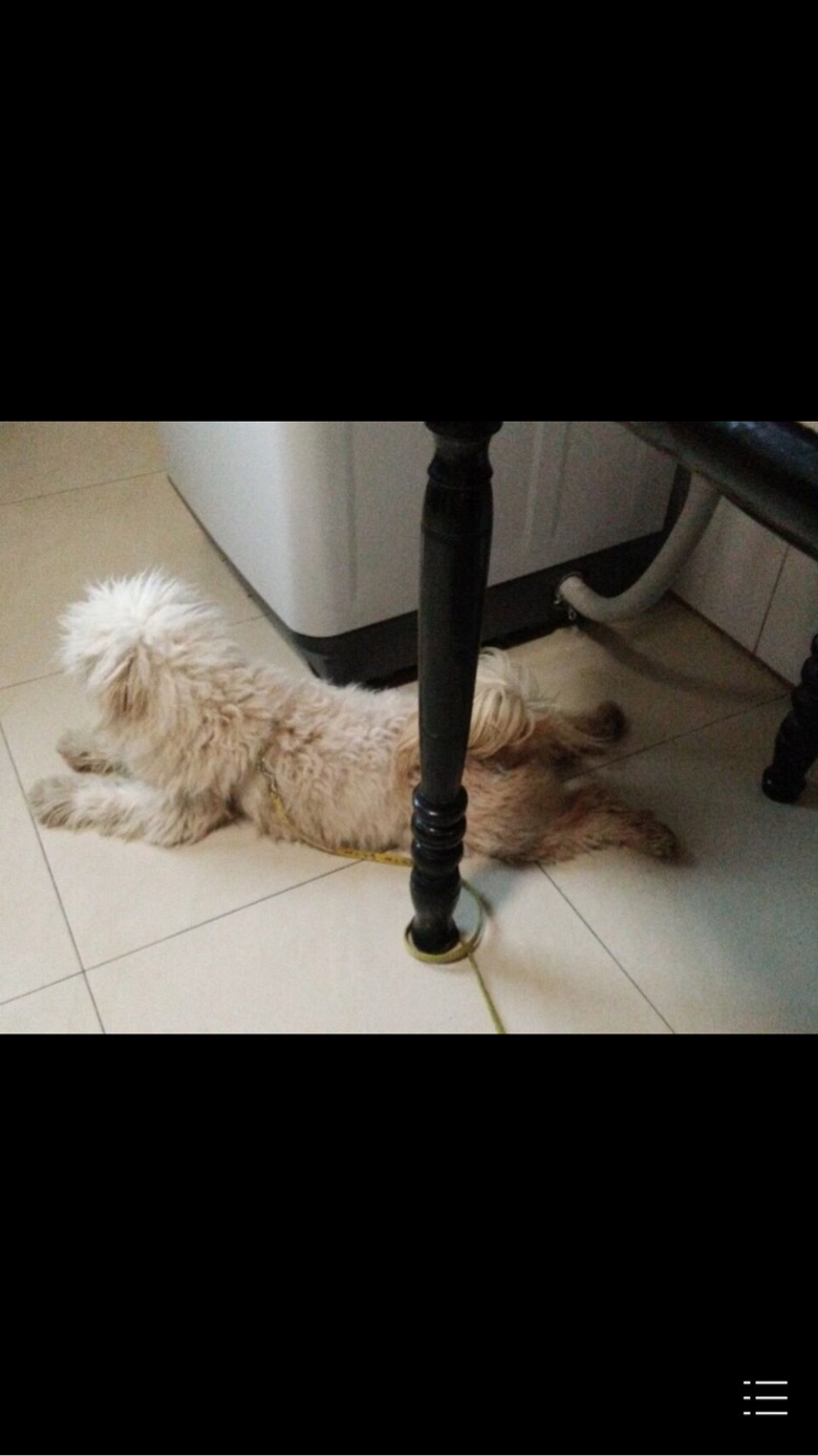 �ҹ����������˽���Ѱ����...