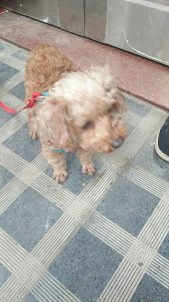 ˭�ұ������ˣ������ں�Ҽ񵽵ģ������ϵ