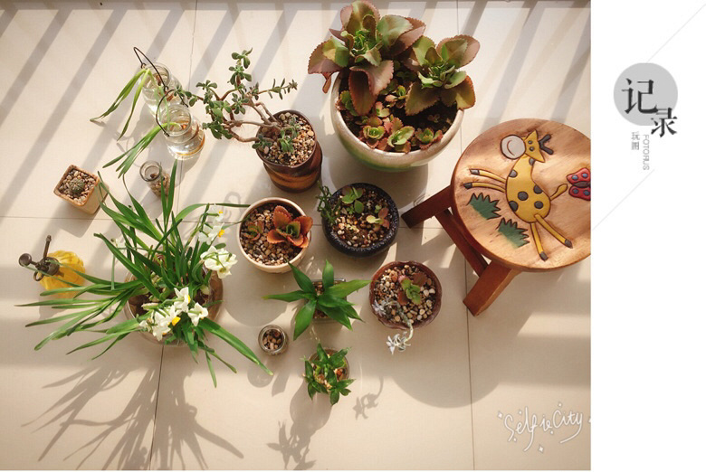 ϣ������ÿ�춼�����ա�