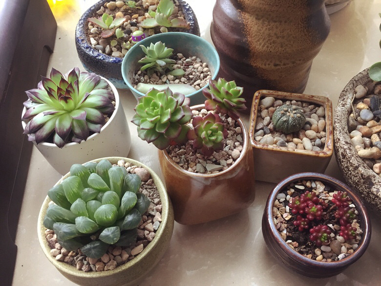 ϣ������ÿ�춼�����ա�