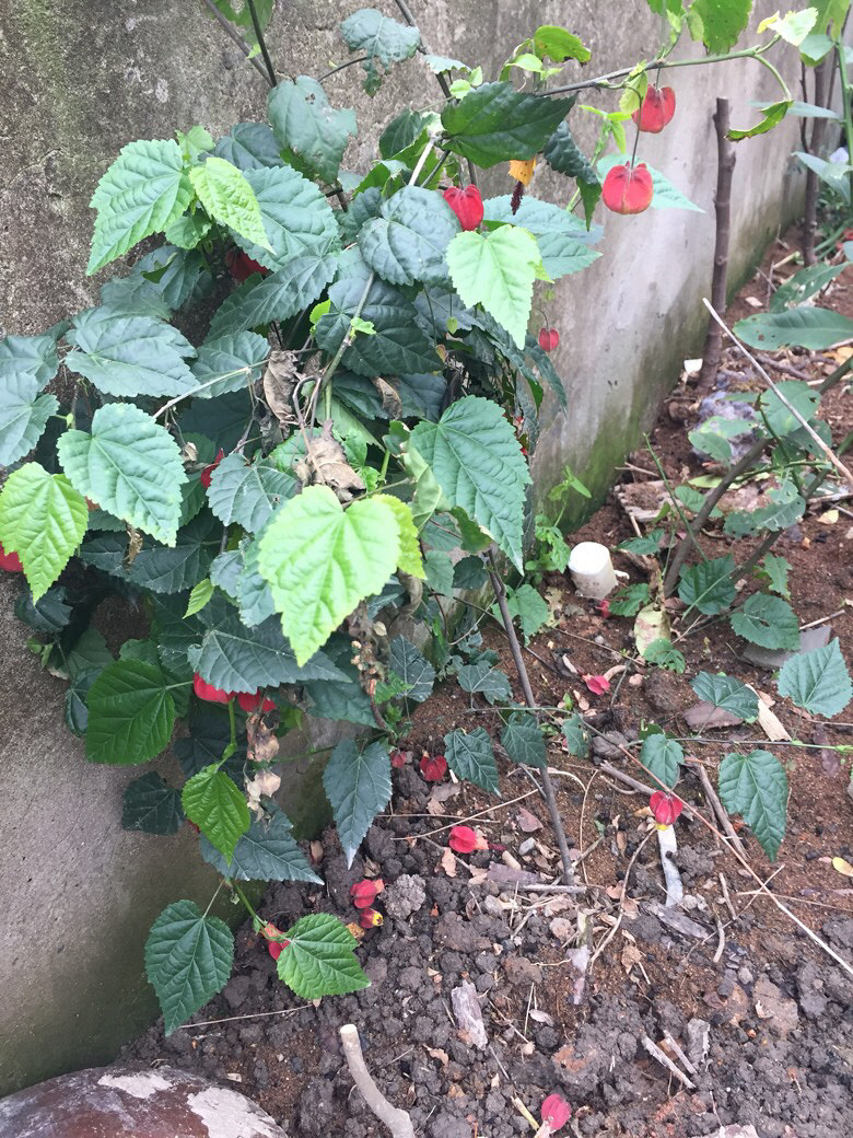 ¥���յ�����