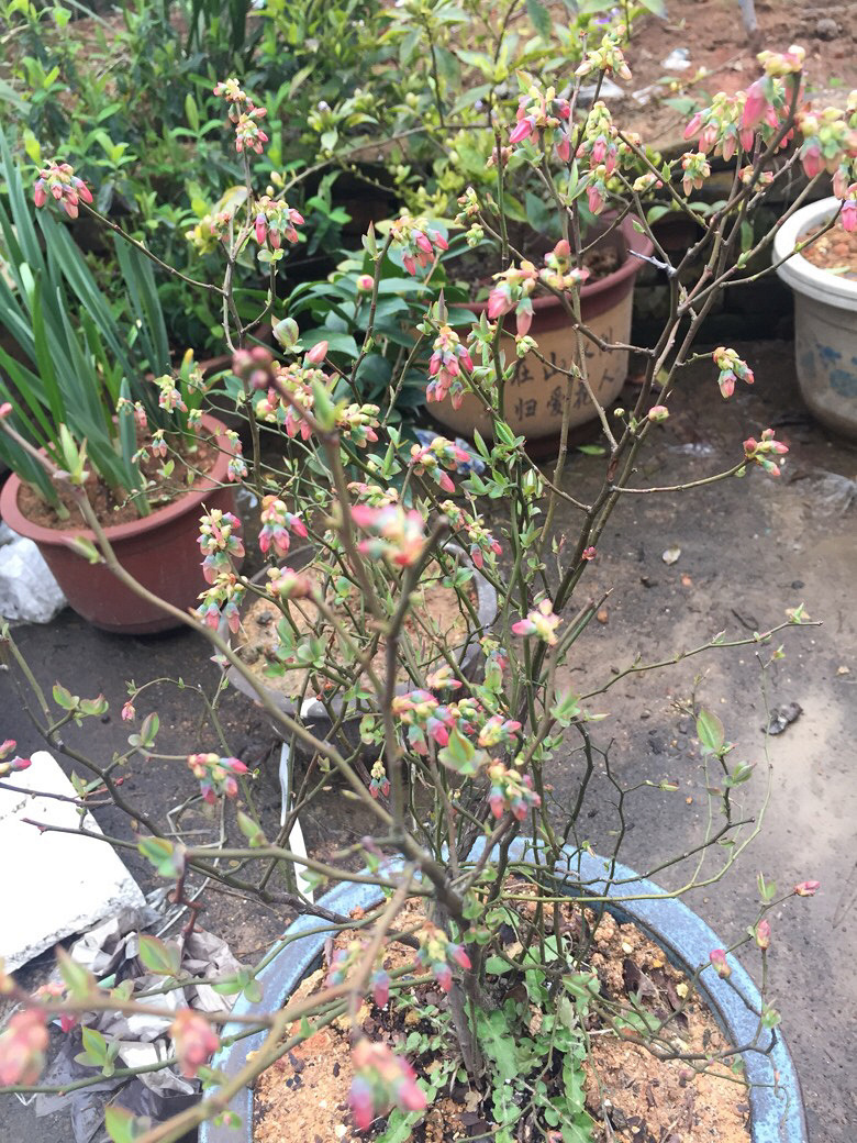 ¥���յ�����