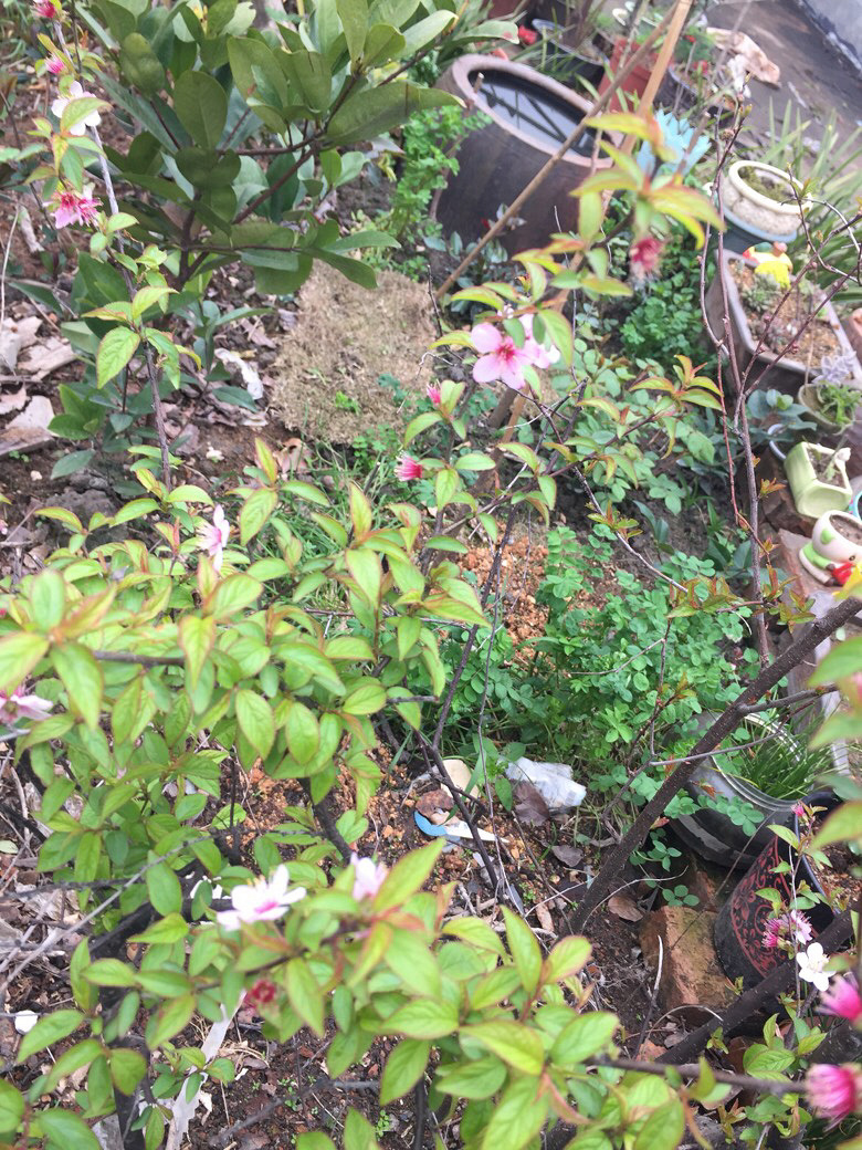 ¥���յ�����