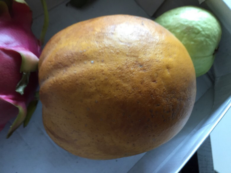 ¥���յ�����