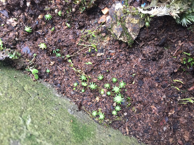 ¥���յ�����