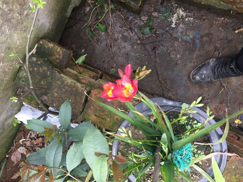 ¥���յ�����