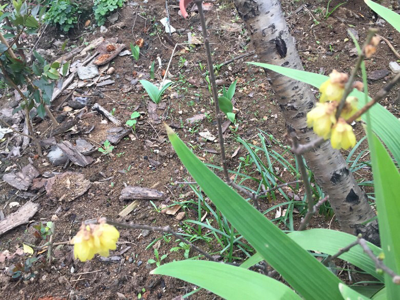 ¥���յ�����