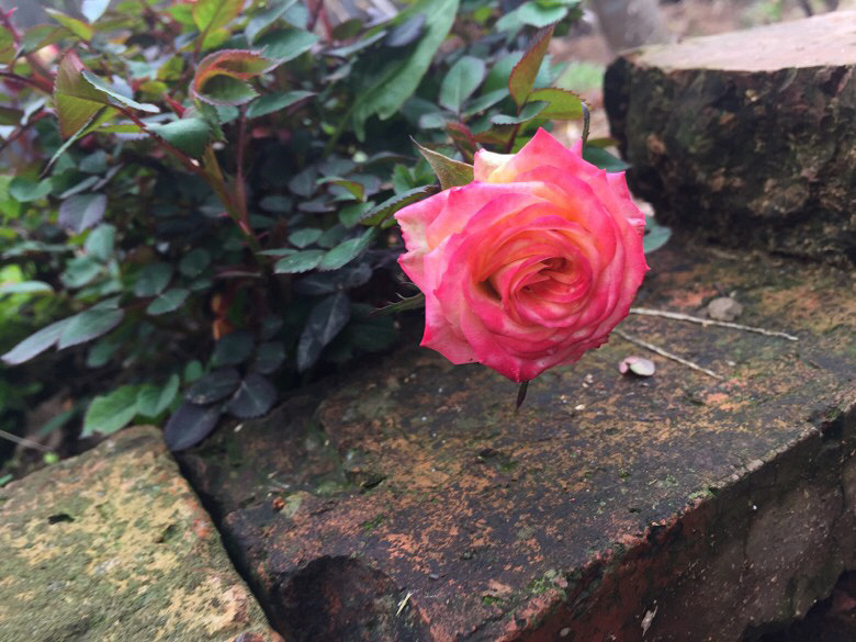 ¥���յ�����