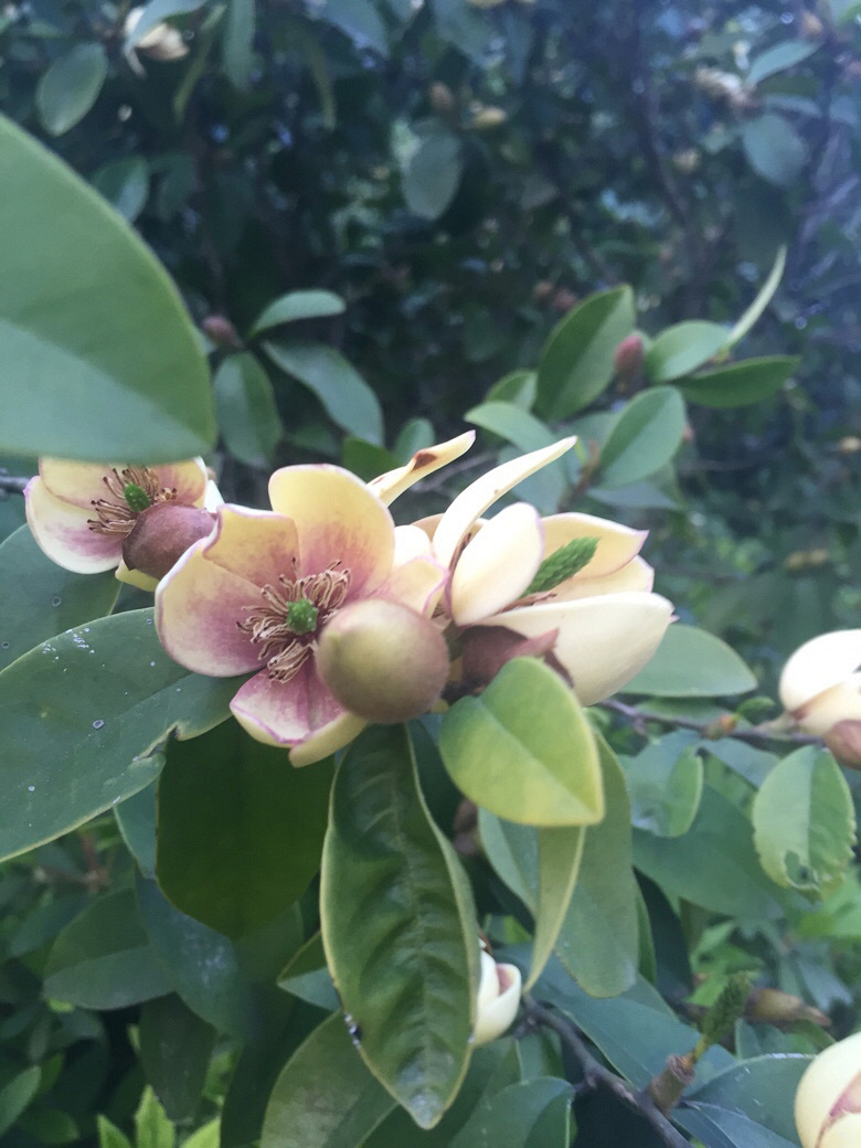 �������ʲô��