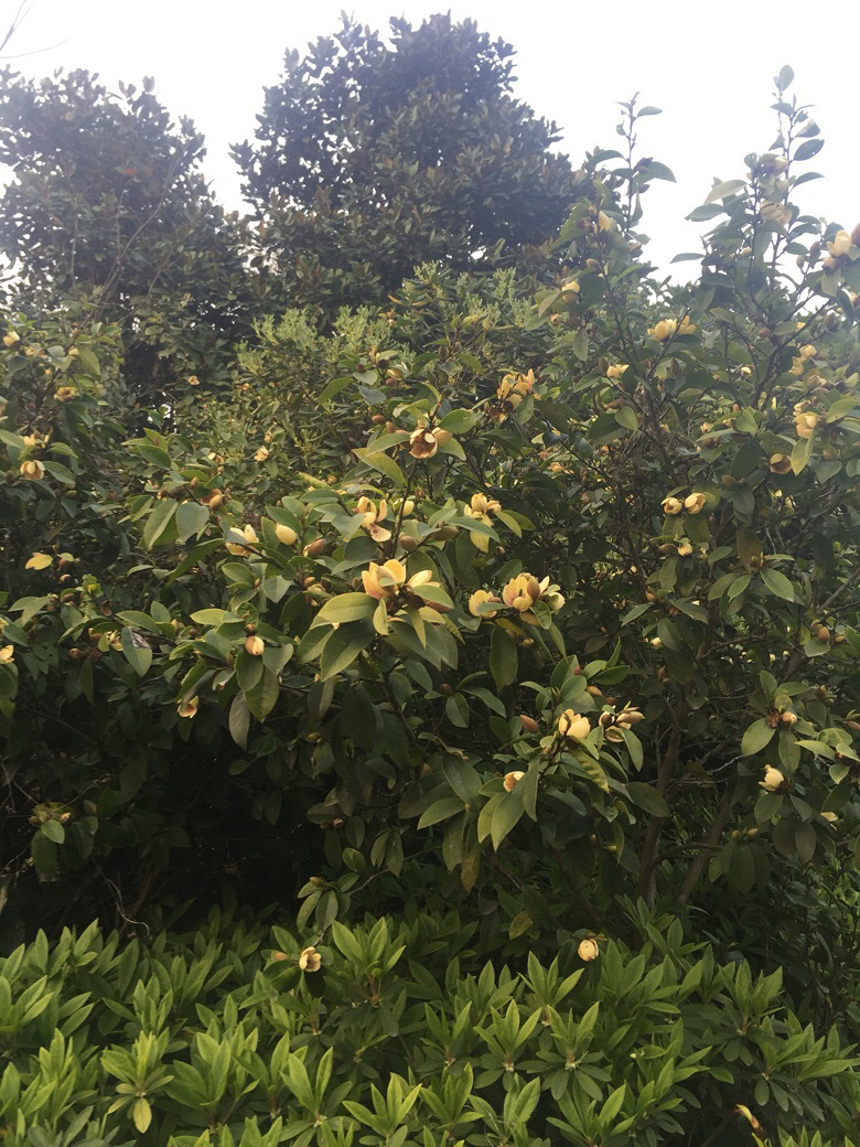 �������ʲô��