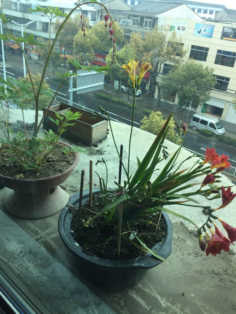 ����Ļ�����