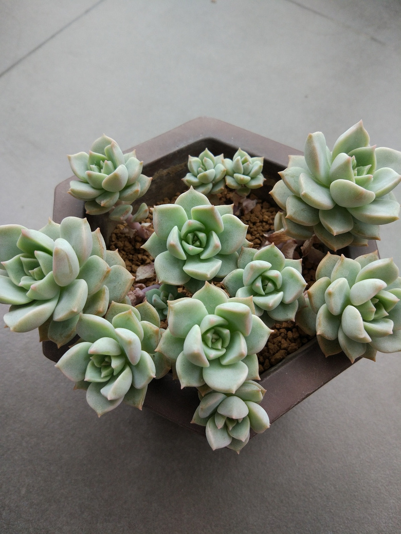 ������Ҫʱ��