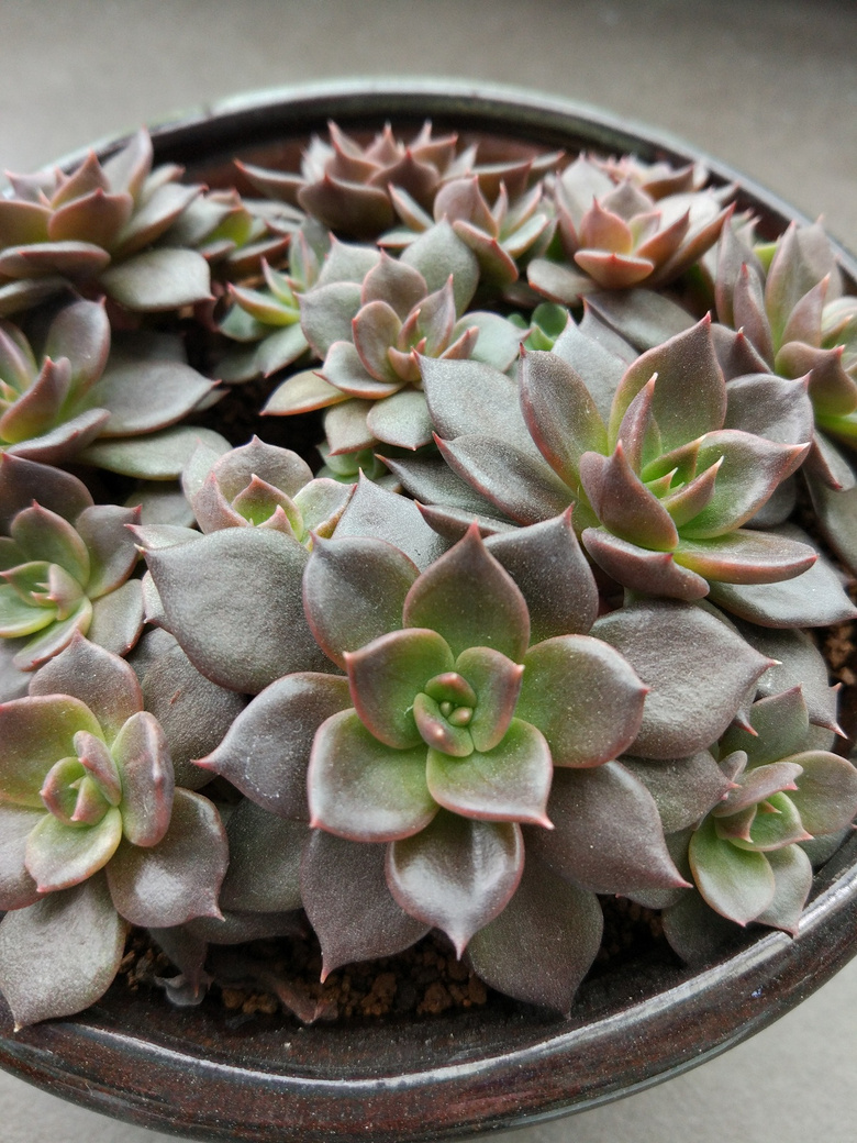 ������Ҫʱ��